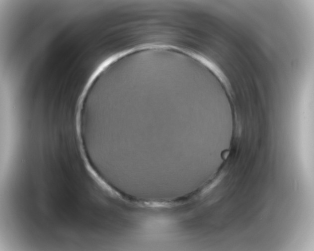 X0000085790958200704091428