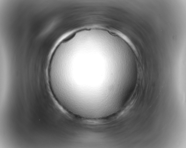 X0000085790959200704091428
