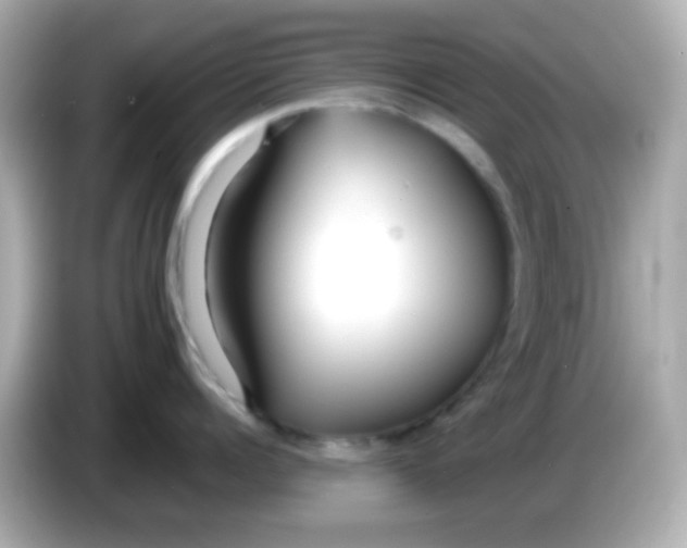 X0000085790960200704091428