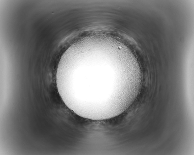 X0000085790966200704091427