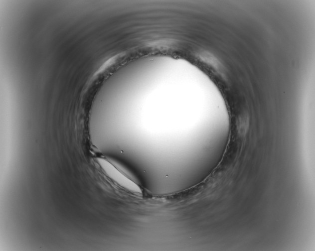 X0000085790968200704091427