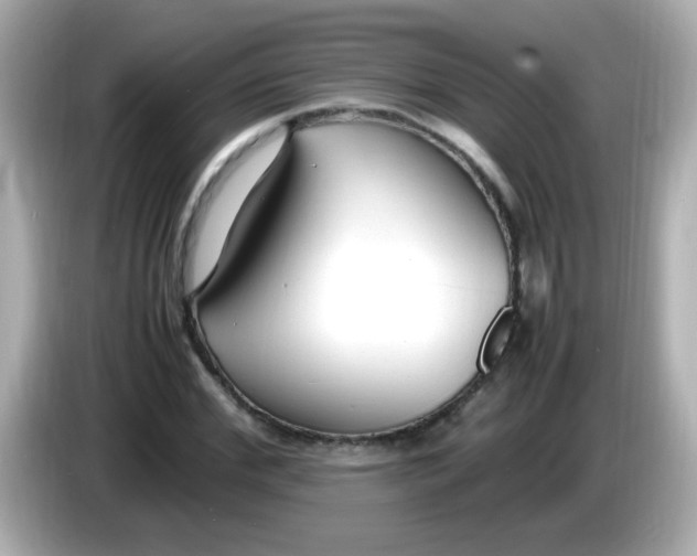 X0000085790972200704091427