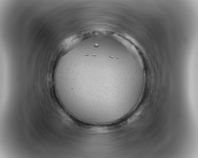 X0000085790977200704091427