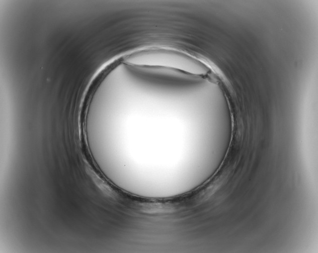 X0000085790980200704091427