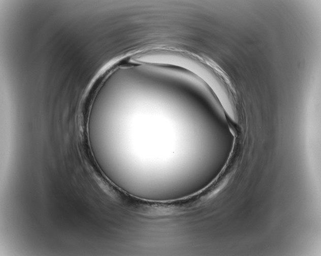X0000085790981200704091427