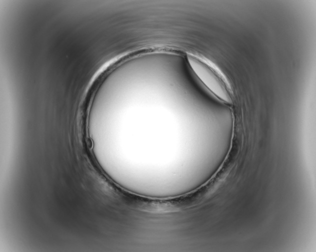 X0000085790983200704091427