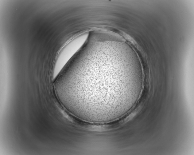 X0000085790985200704091427
