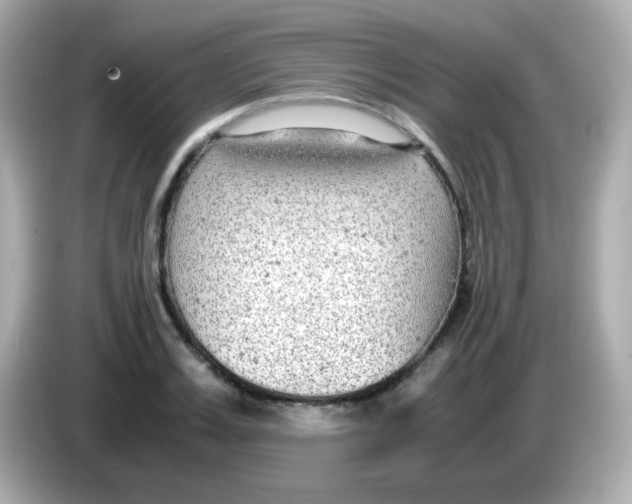 X0000085790987200704091427