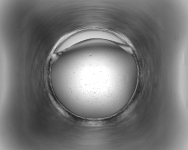 X0000085790989200704091427