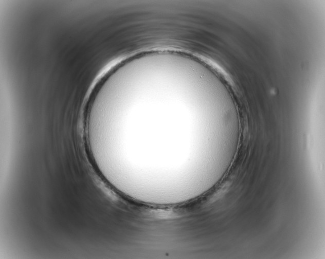 X0000085790990200704091427
