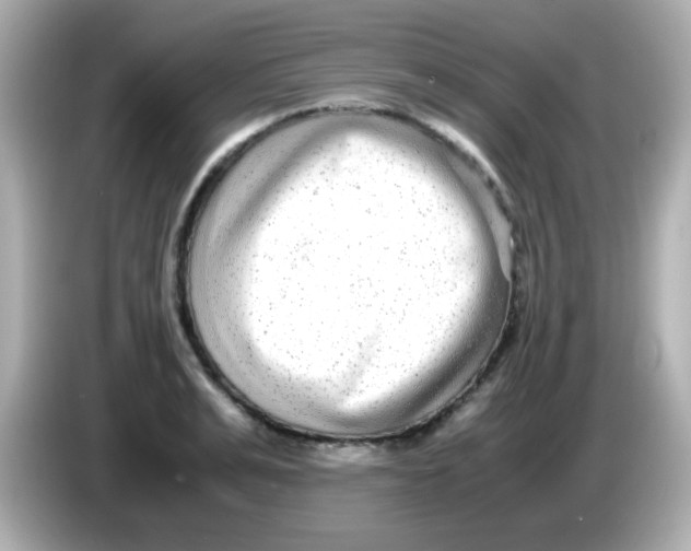 X0000085790991200704091427
