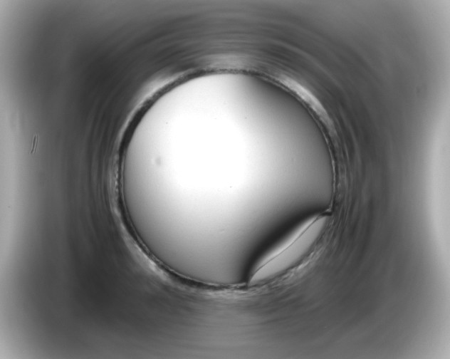 X0000085790992200704091427