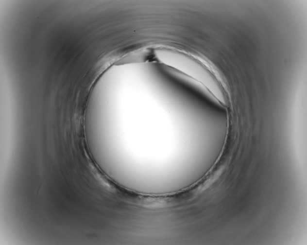X0000085790993200704091427