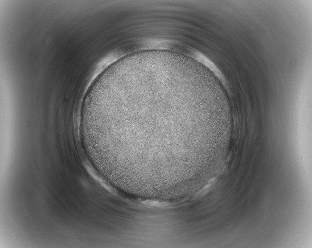 X0000085790994200704091427