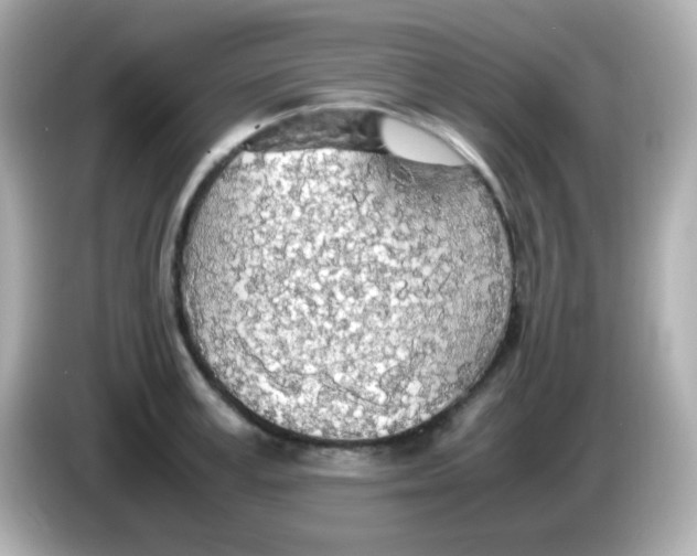 X0000085790995200704091427