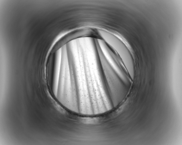 X0000085790996200704091427
