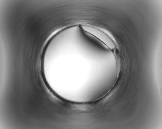 X0000085790999200704091427