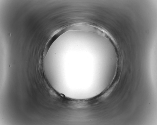 X0000085791001200704091427