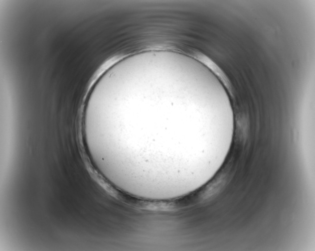 X0000085791002200704091427