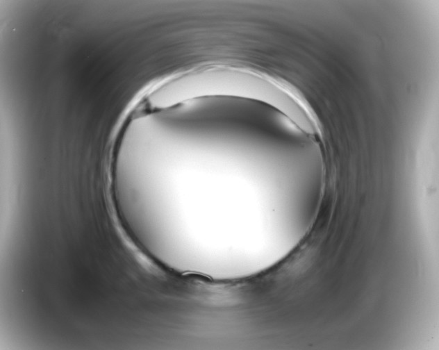 X0000085791005200704091427
