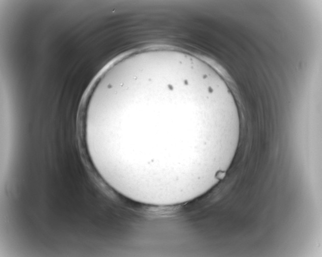 X0000085791008200704091427