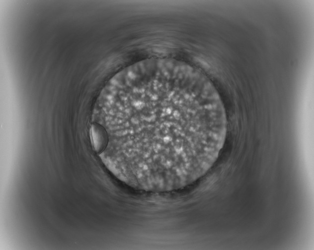 X0000085791009200704091426