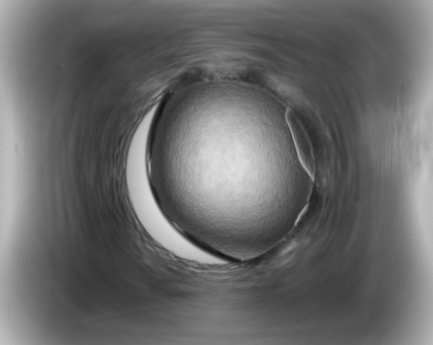 X0000085791010200704091426