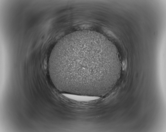 X0000085791011200704091426