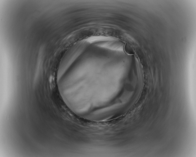 X0000085791013200704091426