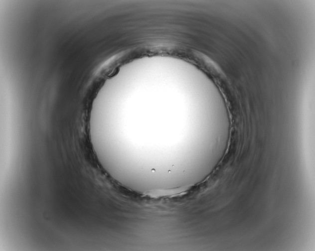 X0000085791016200704091426
