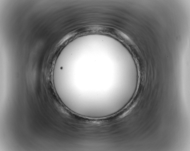 X0000085791017200704091426