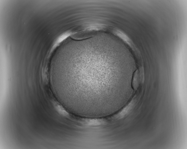 X0000085791018200704091426