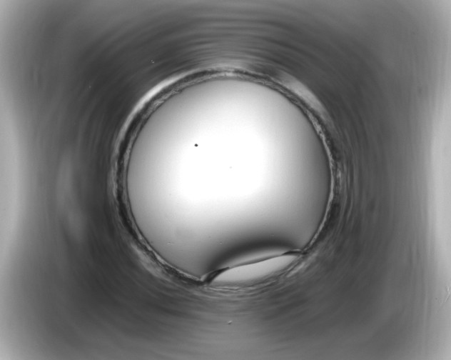 X0000085791020200704091426