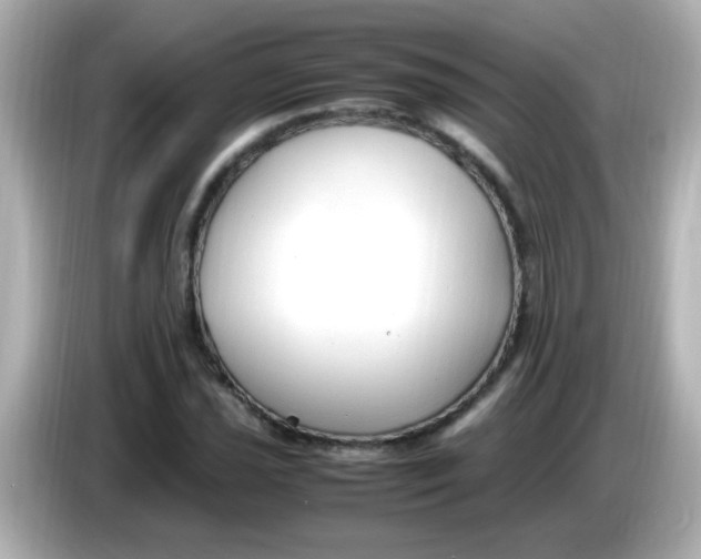 X0000085791021200704091426