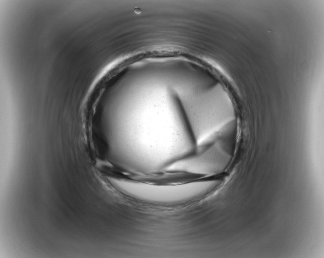 X0000085791022200704091426