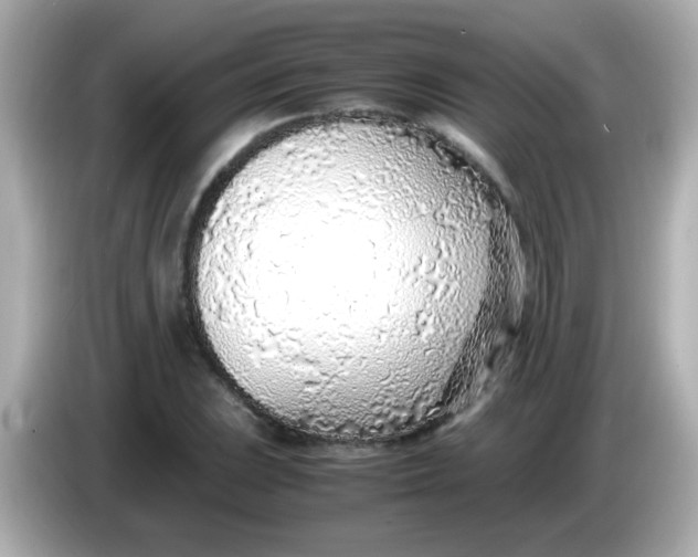 X0000085791023200704091426