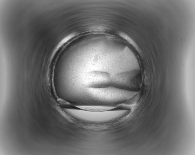 X0000085791026200704091426