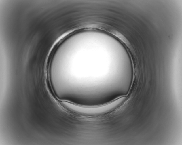 X0000085791028200704091426