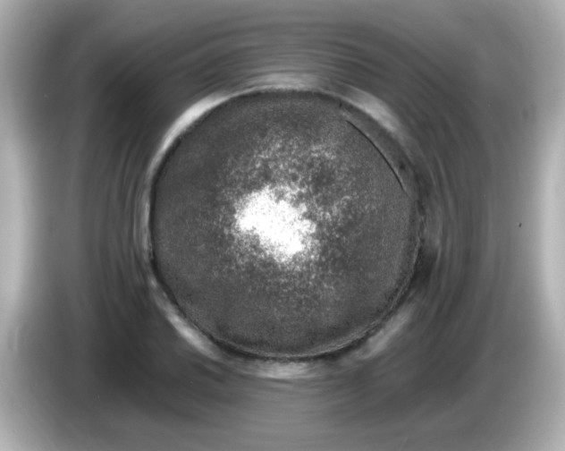 X0000085791030200704091427