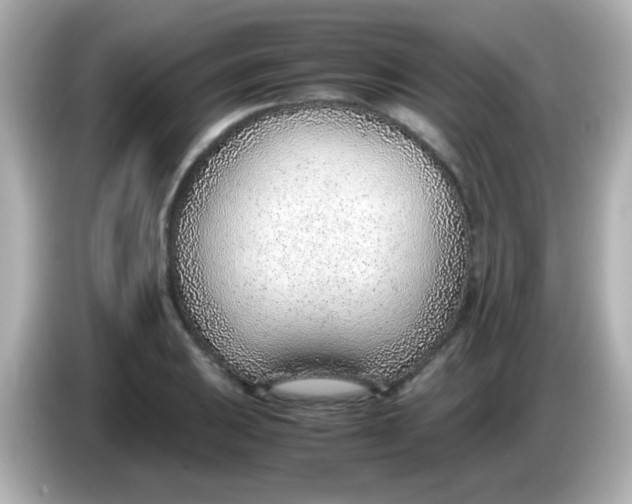 X0000085791031200704091427