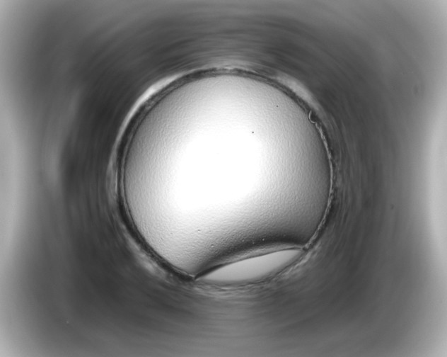 X0000085791032200704091427