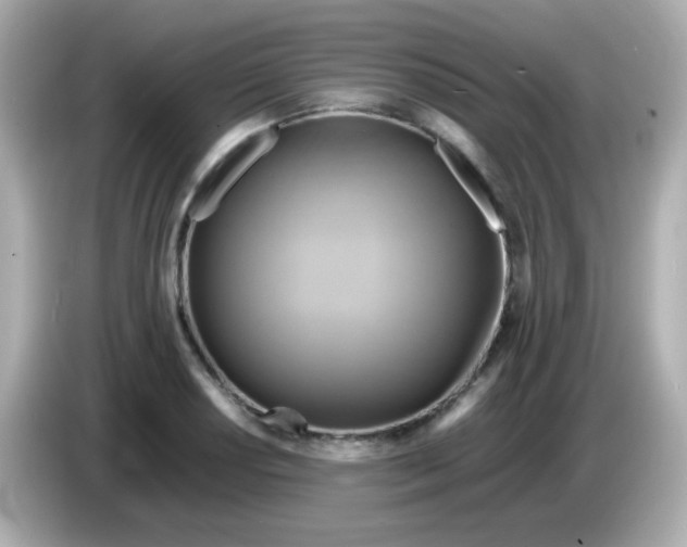 X0000085791034200704091427