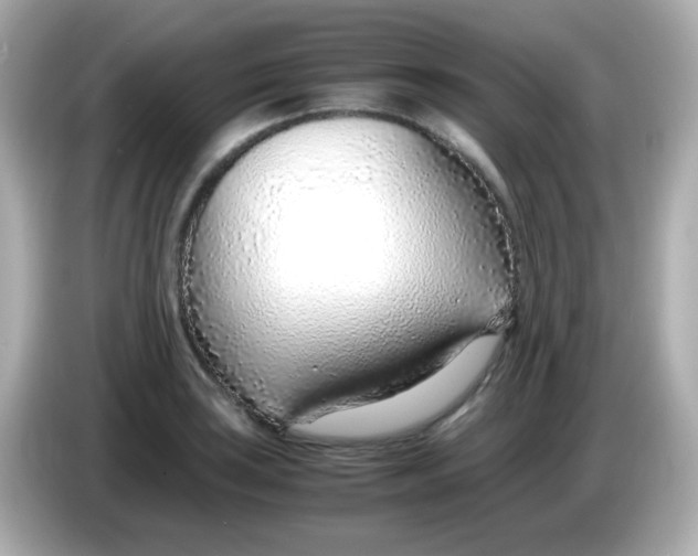X0000085791035200704091427