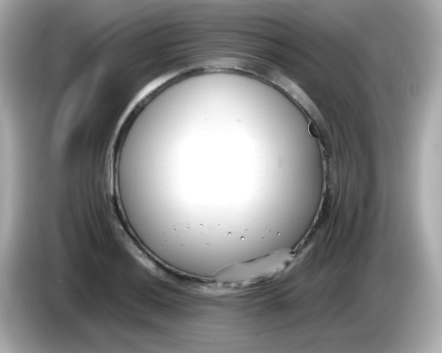 X0000085791036200704091427