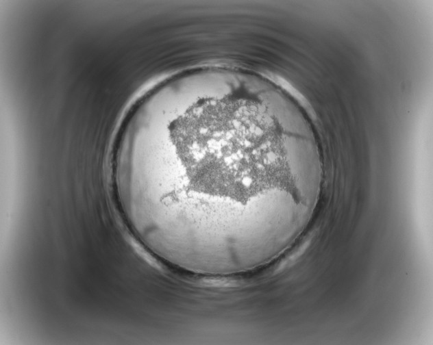 X0000085791037200704091427