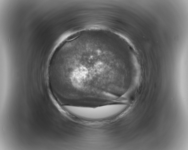 X0000085791038200704091427