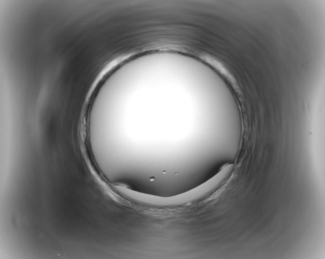 X0000085791040200704091427