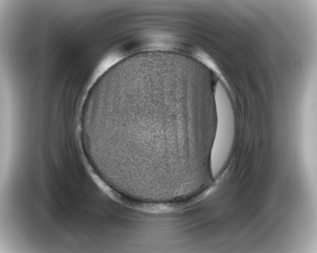 X0000085791042200704091427