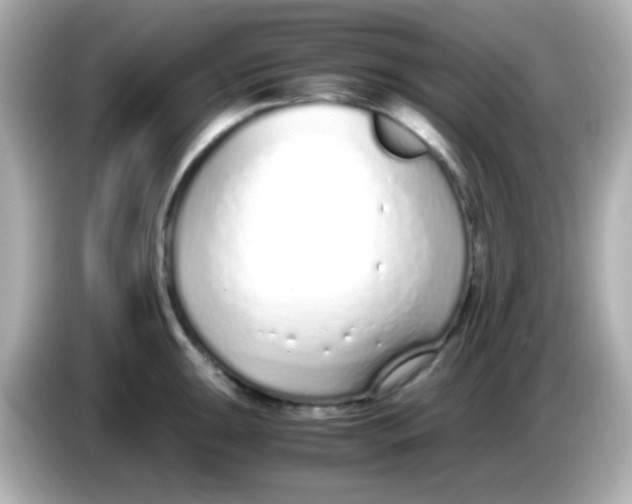 X0000085791047200704091427