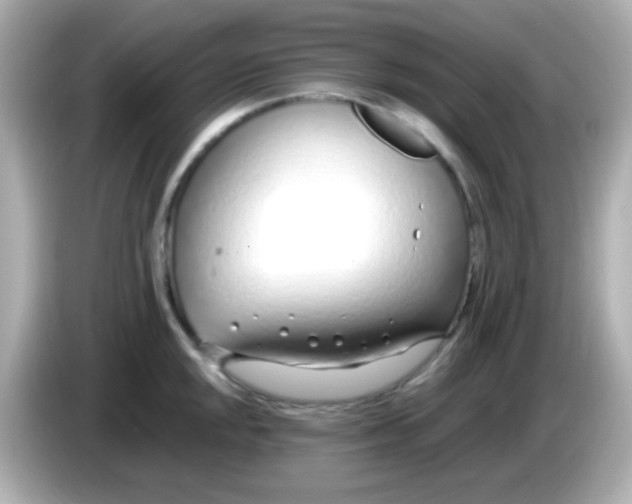 X0000085791048200704091427